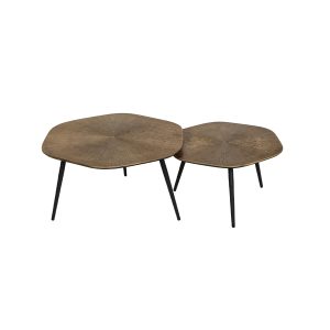 Leo 100881 Set Of 2