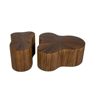 Asher 100879 Set Of 2